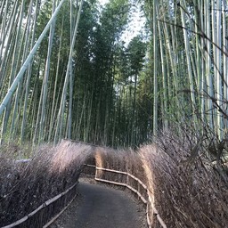 ทางเดินส่วนนี้ปิดไม่ให้เดินเข้า