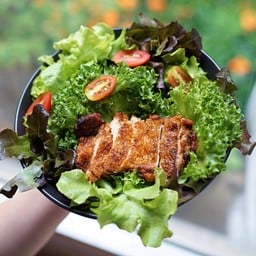 Grilled Chicken Salad
