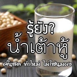 รู้ยัง? น้ำเต้าหู้ (คั้นสดทุกวัน ไม่ใส่นมผง)