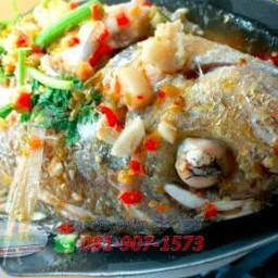 ปลากะพงแสมนึ่งมะนาว