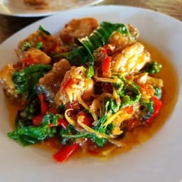 ไผ่ทะเล