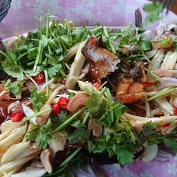 ปลาช่อนเกยตื้น