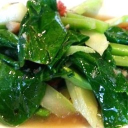 คะน้าน้ำมันหอย