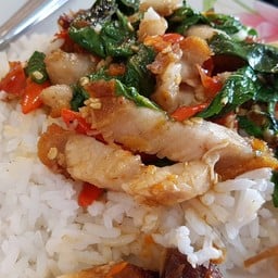 สงขลาโอชา