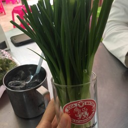 รักเลย มีต้นหอมแนมด้วย