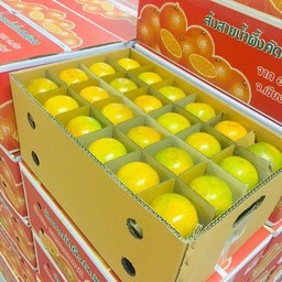 ส้มกล่อง 72