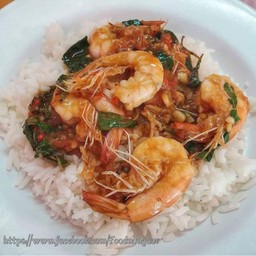 กระเพรา ราดข้าว