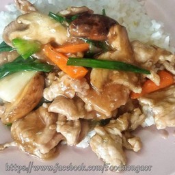 ผัดน้ำมันหอย ราดข้าว