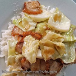 กะหล่ำน้ำมันหอย  ราดข้าว