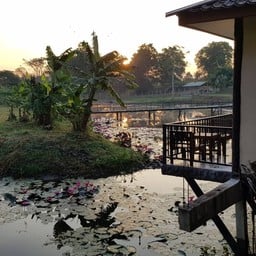 บังกาโล วิวดี