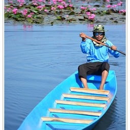 เรือพาชม