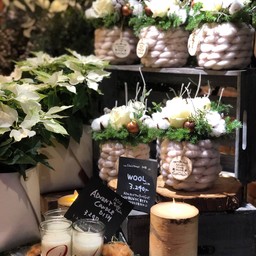 ข้างในร้านมีแต่ดอกไม้กระถางสวยๆทั้งนั้น ใครสายต้นไม้คงตาวาว