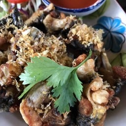 กบทอดกระเทียม