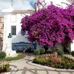 Miradouro de Santa Luzia
