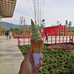 ไอครีม​ซอฟเสริฟ ฮิโนกิแลนด์