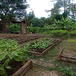 ขอบคุณรูปภาพจาก AnantayaHomePhrae