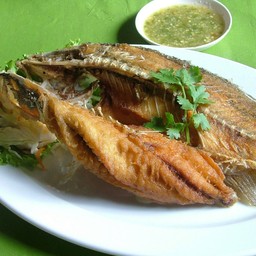 กระพงทอดน้ำปลา