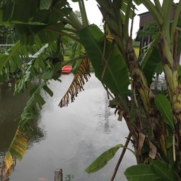 วิวแจ่มๆริมน้ำ