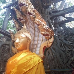 หลวงพ่อแก่น