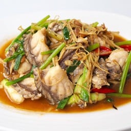 ปลาหมอทะเลผัดฉ่าหรือผัดคื่นไช่
