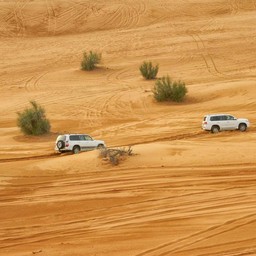 Dessert Safari Dubai