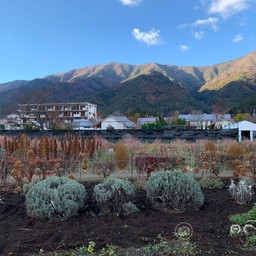 Kawaguchigo Natural Living Center