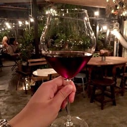 Wine By Glass