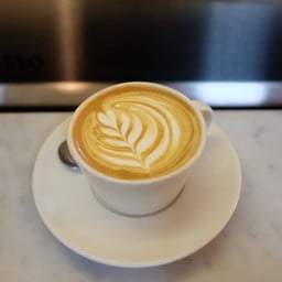 Patricia Coffee Brewers