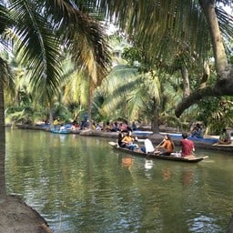 พายเรือในสวนมะพร้าวฟรี
