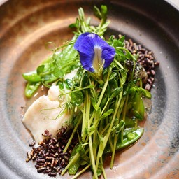 Open Farm Community Nearby botanical garden