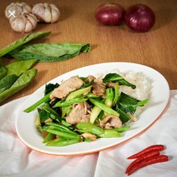 ข้าวราดผัดคะน้าปลาเค็ม