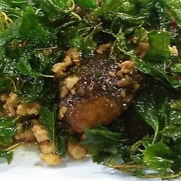 ไข่เยี่ยวม้ากระเพรากรอบ