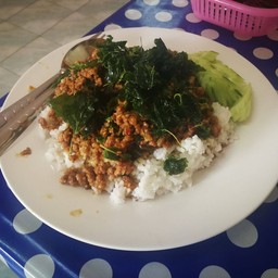 ก๋วยเตี๋ยวเรืออยุธยา+ไก่มะระ+โคตรกะเพรา