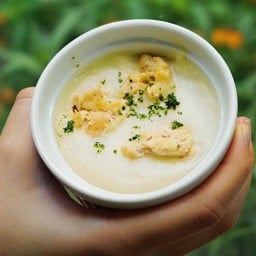 Chicken Cream Soup
