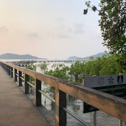 พิพิธภัณฑ์ธรรมชาติวิทยาเกาะและทะเลไทย
