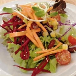 Mixed Vegetable Salad