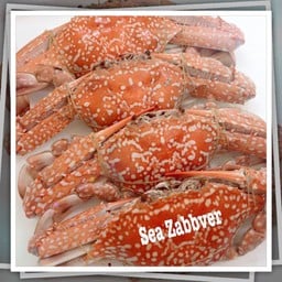 กำลังดี 4ตัวโล อิ่มได้หลายคน แค่ 699 ฿