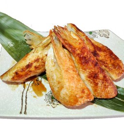 ครีบปลาแซลมอน