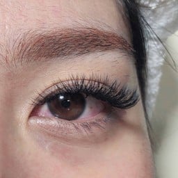 ต่อขนตาแบบวอลุ่ม
