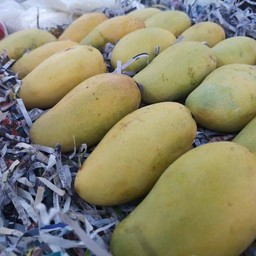 ใช้มะม่วงสดจากสวน ที่ผ่านการคัดสรรเฉพาะความหวานละมุนลิ้นทุกผล