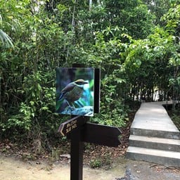 สระน้ำผุด