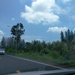 เขาชะอางค์