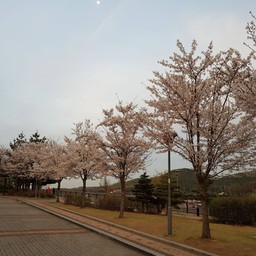 The Ara Skywalk Incheon