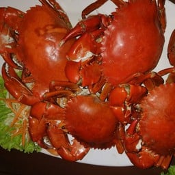 ตะวันแลงกุ้งเผา