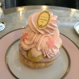 Ladurée Tokyo Ginza Ginza