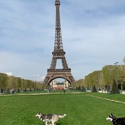 Eiffel tower