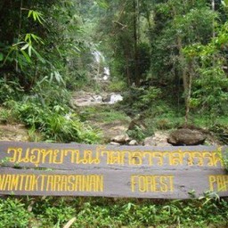 วนอุทยานน้ำตกธาราสวรรค์