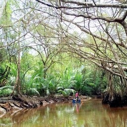 ล่องเรือ Little Amazon