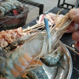 กุ้งตัวใหญ่ ใส่ใจราคา 159฿ บุฟเฟต์ 