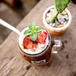 Northern Plants Farm | Cactus Cafe ไชยปราการ